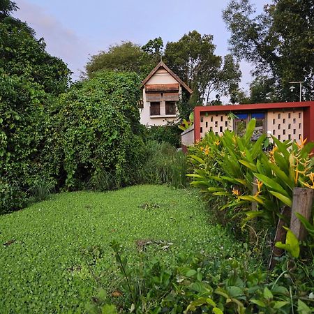 Villa Mia Mararikulam Eksteriør billede