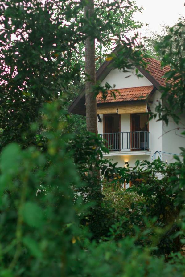 Villa Mia Mararikulam Eksteriør billede